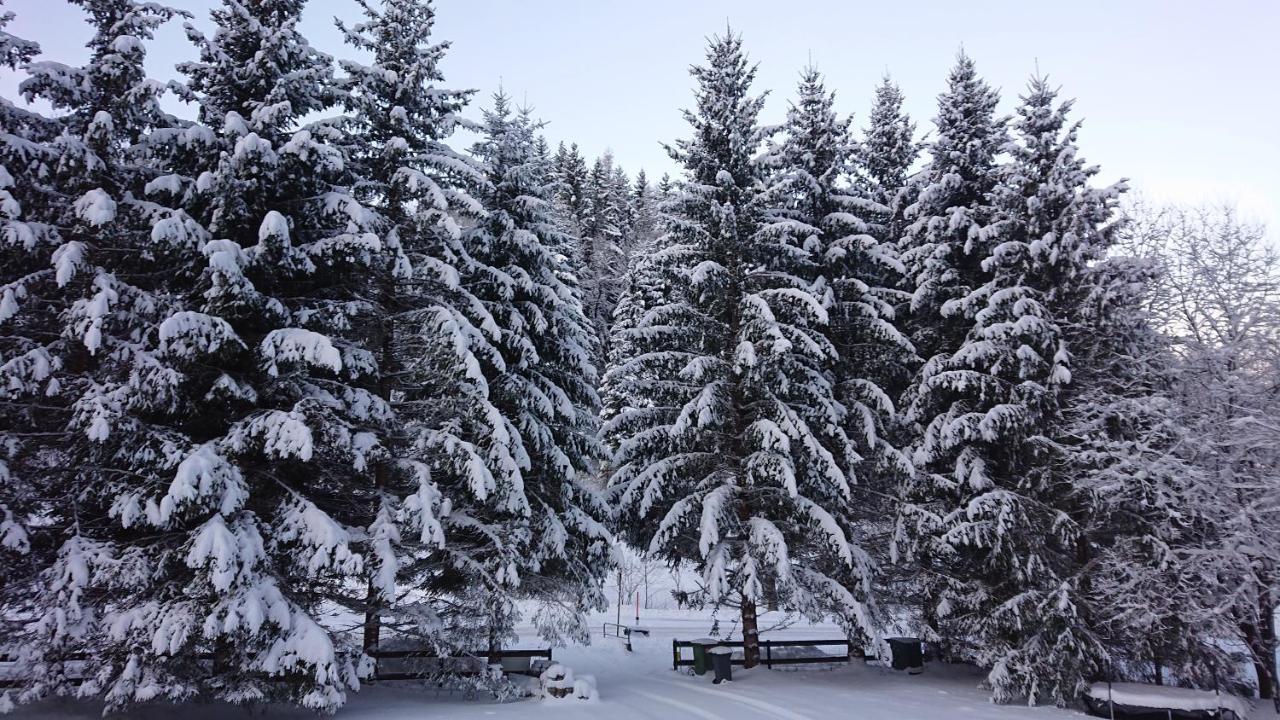 Am Kaltenbach - Spital Am Semmering, Stuhleck Eksteriør billede