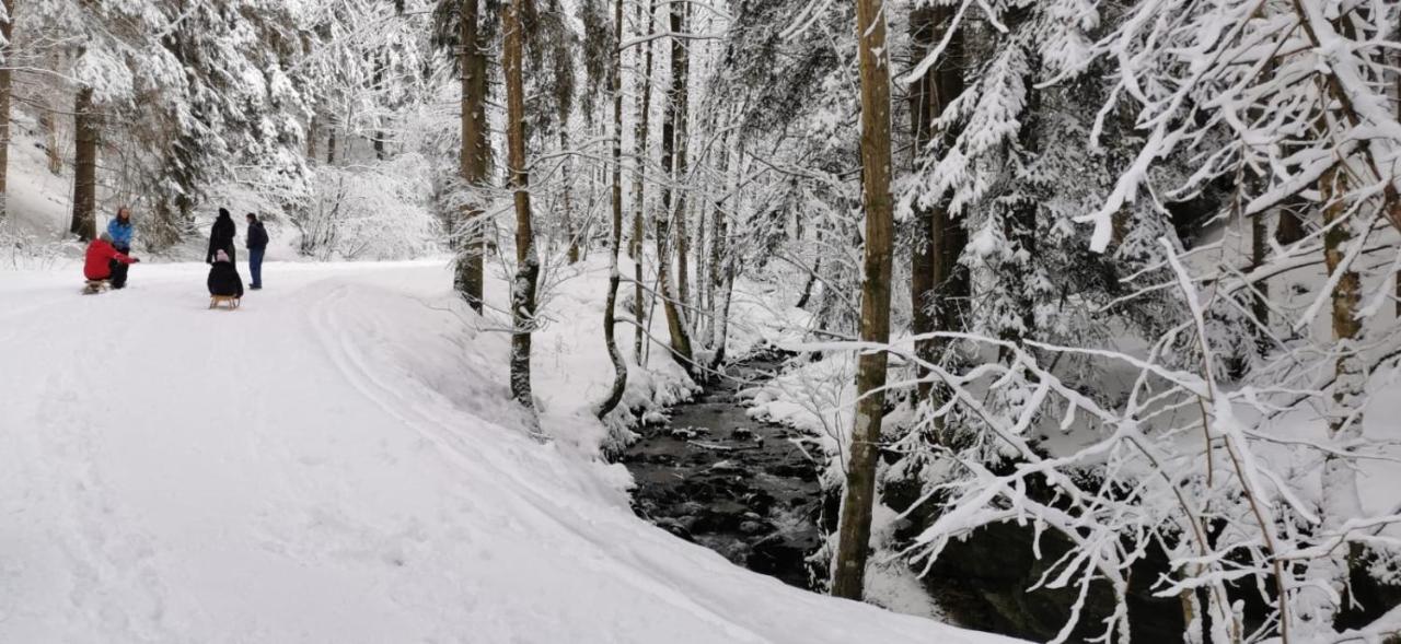 Am Kaltenbach - Spital Am Semmering, Stuhleck Eksteriør billede