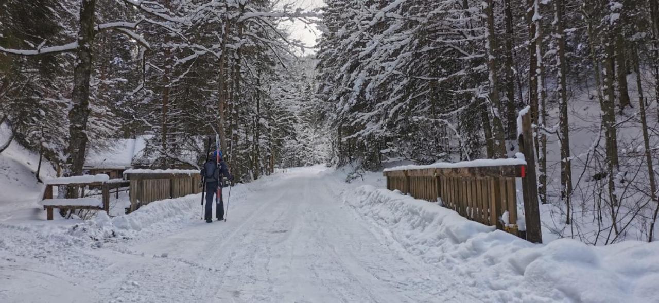 Am Kaltenbach - Spital Am Semmering, Stuhleck Eksteriør billede